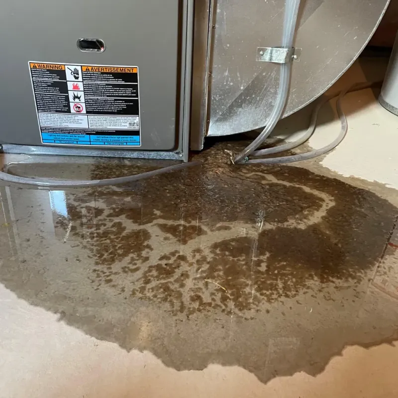 Appliance Leak Cleanup in Towanda, KS